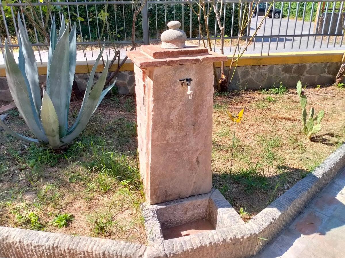 Il Cantuccio Lucca Eksteriør billede